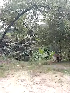 andreu mature online show from 02-21-26, 04:20