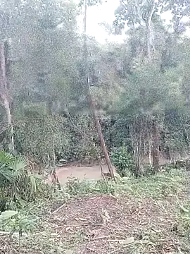 andreu mature online show from 03-26-26, 11:02