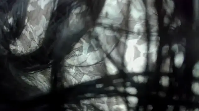 Najayla adams1 online show from 01-06-26, 12:09