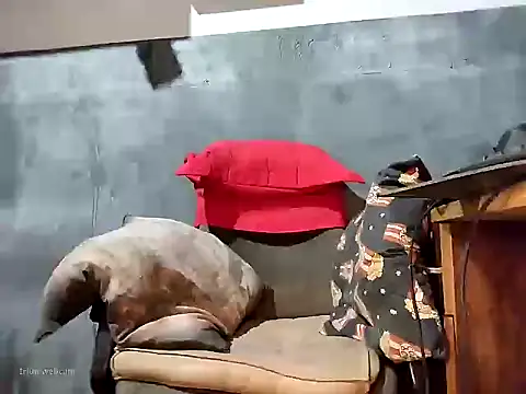 bumbumtatuado online show from 01-13-26, 02:26