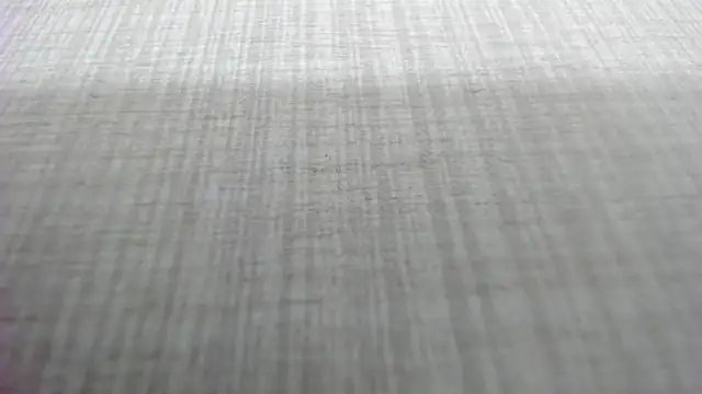 AishaRouhi online show from 03-04-26, 05:15