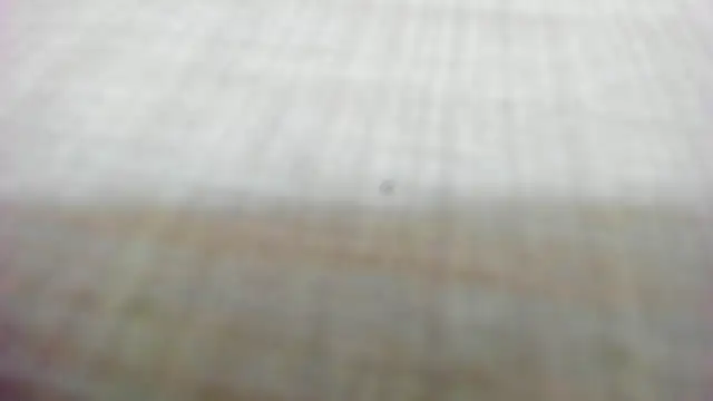 AishaRouhi online show from 02-14-26, 05:29