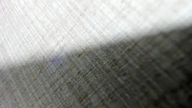 AishaRouhi online show from 03-14-26, 04:40