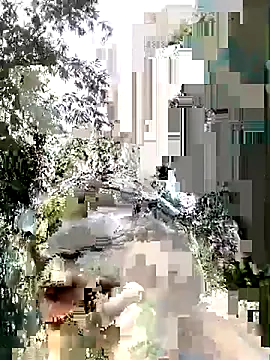 Snapshot of trieungoclnt chatting on 10-17-25, 05:11 trieungoclnt online show from 10-17-25, 05:11