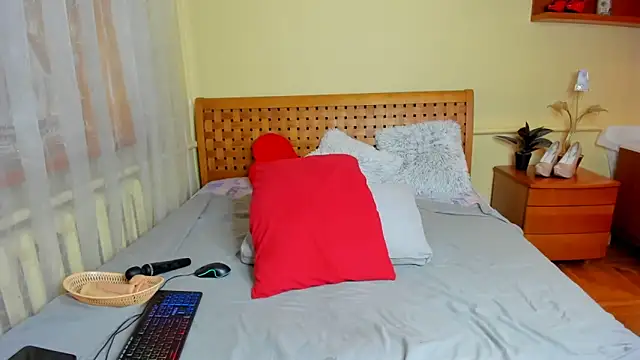 Moon  Eclipse online show from 11-13-25, 07:45