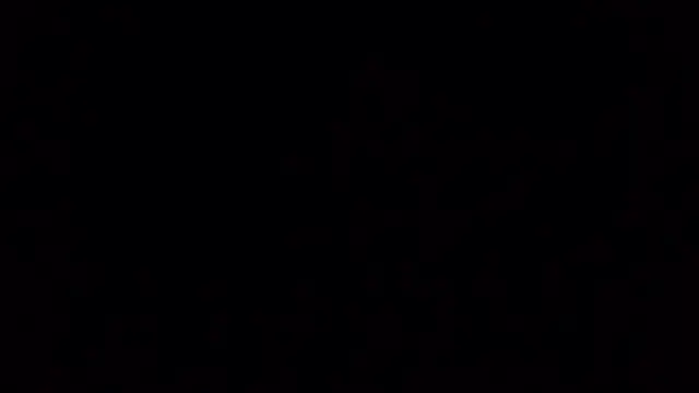 Ken-boy  online show from 10-20-25, 11:44