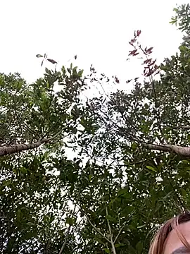 Snapshot of Sofia_xx2 chatting on 02-02-25, 09:18 Sofia xx2 online show from 02-02-25, 09:18