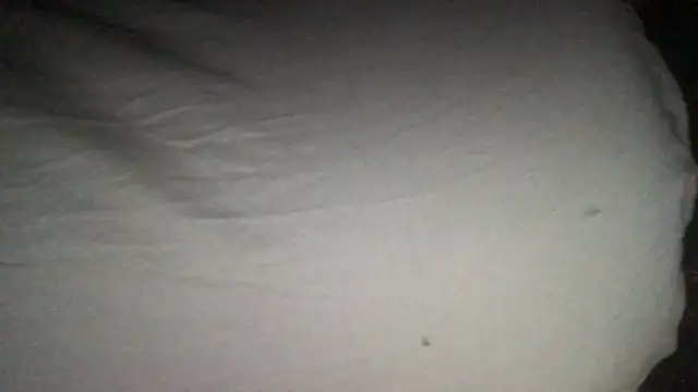 loveofbea online show from 09-11-25, 12:49