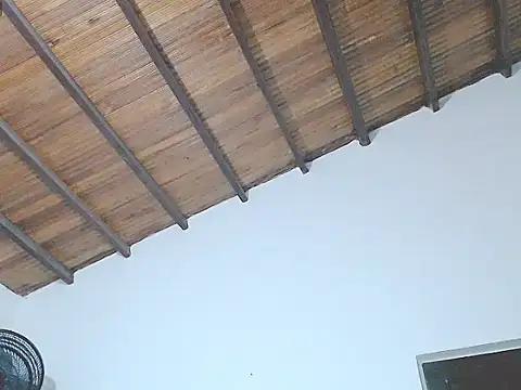 Snapshot of tifany19_ chatting on 09-12-25, 04:01 tifany19  online show from 09-12-25, 04:01