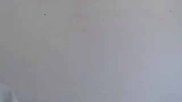 Snapshot of Niurca01_ chatting on 10-16-25, 04:48 Niurca01 online show from 10-16-25, 04:48