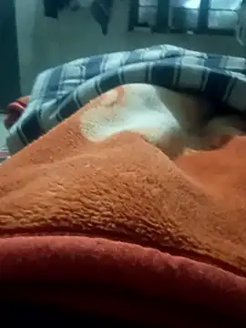 rjxraj online show from 01-11-26, 03:19