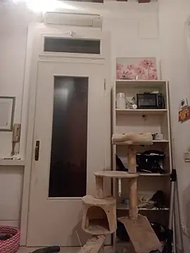 fattone95 online show from 12-19-25, 08:55