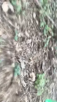 lustboyX online show from 04-05-26, 09:38