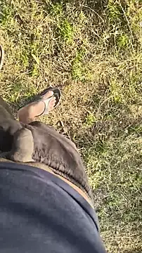 lustboyX online show from 04-03-26, 02:29