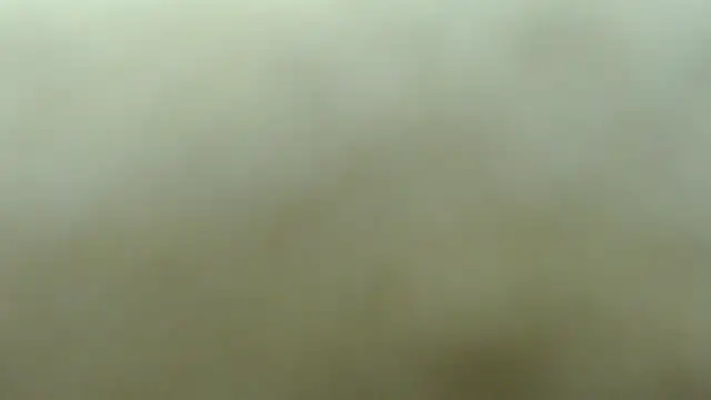 lakeeza online show from 11-08-25, 06:00