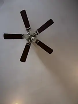 ThicBunz online show from 02-09-26, 02:15