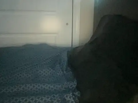 Snapshot of Bobbythehunk_ chatting on 05-19-26, 06:31 Bobbythehunk online show from 05-19-26, 06:31