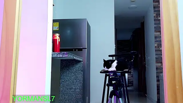 zaiin diesel online show from 11-26-25, 11:43