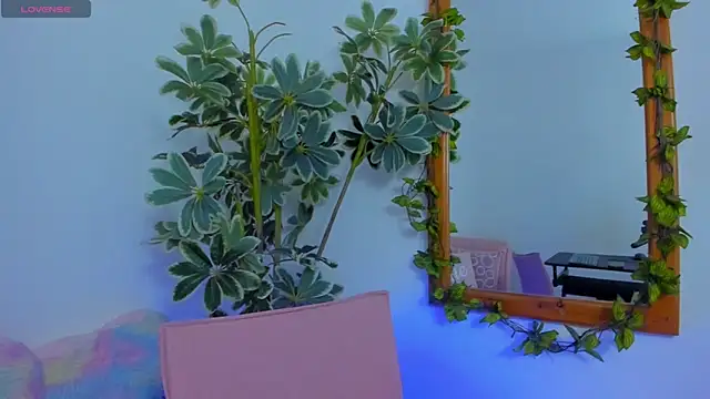 ShegoBlake online show from 03-09-26, 12:47