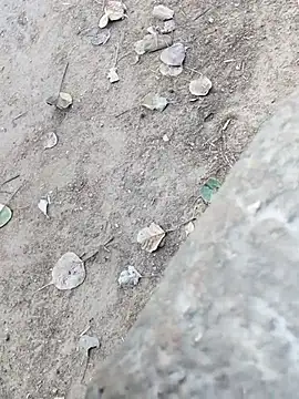 Snapshot of MAN_MOHINI_21 chatting on 02-22-26, 09:44 MAN MOHINI 21 online show from 02-22-26, 09:44