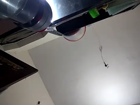 bigvorn6 online show from 03-29-26, 06:26