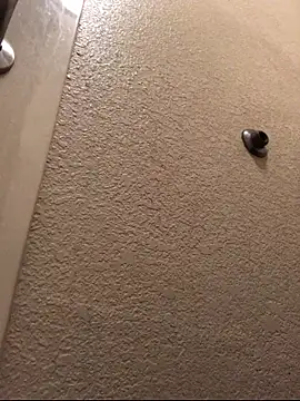 Jasontv56 online show from 11-13-25, 12:31