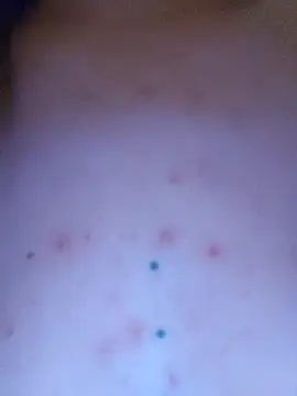 Linda 999 online show from 04-21-26, 11:17