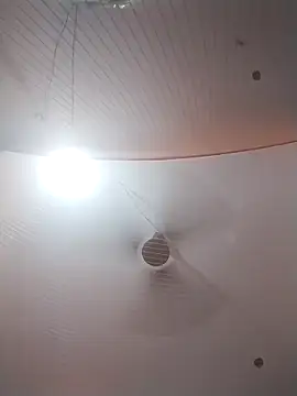 Nzfl97 online show from 03-30-26, 04:52