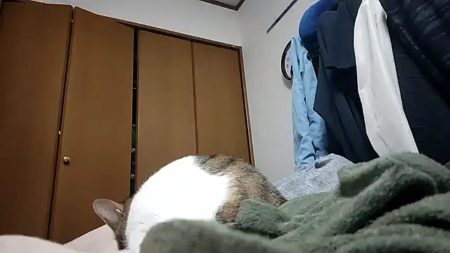 07YUKIO online show from 04-24-26, 09:22