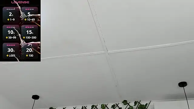 valentina 0  online show from 11-19-25, 08:53