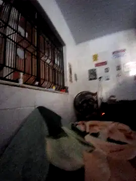 Zenfox24 online show from 02-20-26, 12:29