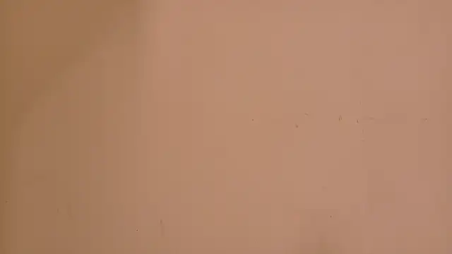 flavia cruz online show from 06-15-26, 12:05