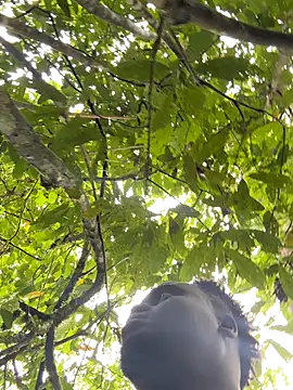 Andricastro online show from 11-10-25, 01:49