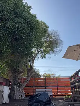 Andricastro online show from 02-23-25, 01:42