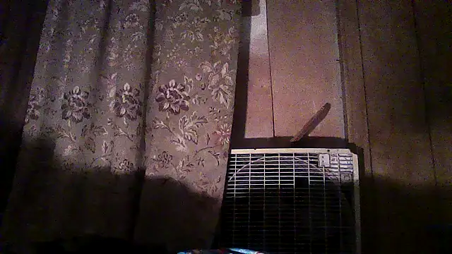 Snapshot of luke_thighwalker2469 chatting on 12-02-25, 02:45 luke thighwalker2469 online show from 12-02-25, 02:45