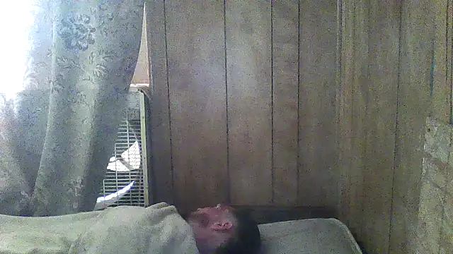 luke thighwalker2469 online show from 03-05-26, 05:20