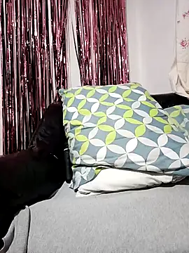 Joagorditahot online show from 11-08-25, 11:30