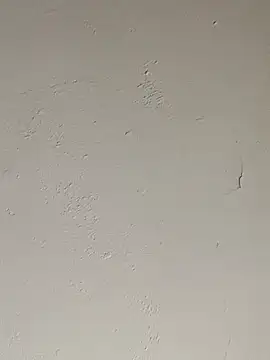 cazaperdidas online show from 09-17-25, 05:59