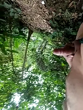 mis312 online show from 12-16-25, 01:15