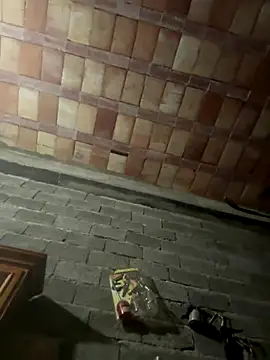 ros217 online show from 01-05-26, 09:18