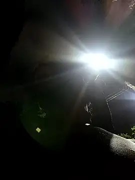 Siriss boyrag online show from 03-24-26, 02:22