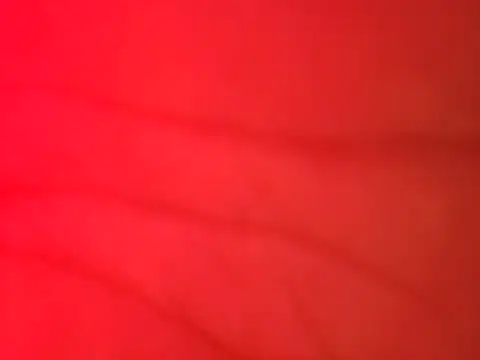 Snapshot of jorwee chatting on 02-15-25, 04:36 jorwee online show from 02-15-25, 04:36