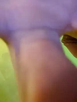 Snapshot of jorwee chatting on 01-15-25, 07:26 jorwee online show from 01-15-25, 07:26