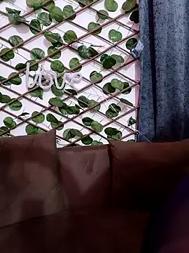 Bold-Cat online show from 02-07-25, 06:02