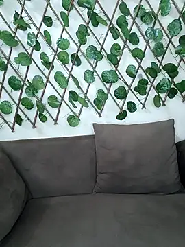 Bold-Cat online show from 10-15-25, 05:43