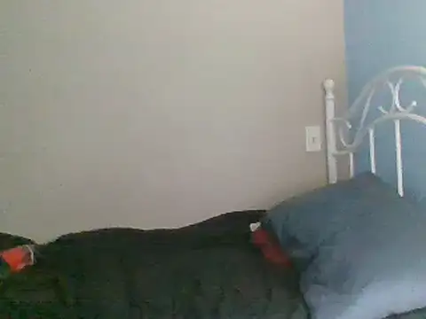 SmokingSloth online show from 03-16-25, 02:10