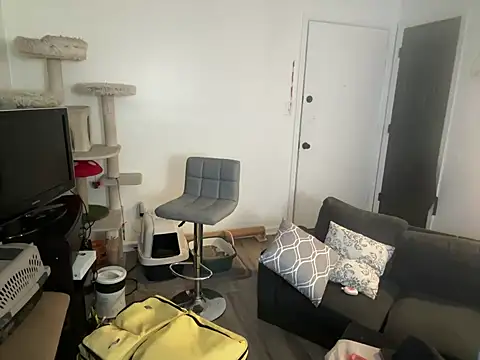 SpunCandy online show from 06-08-26, 03:01