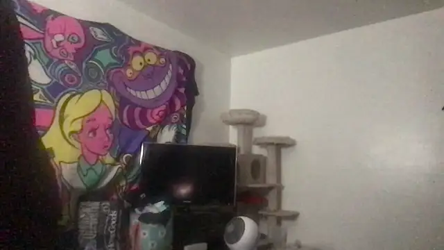 SpunCandy online show from 05-27-26, 08:49