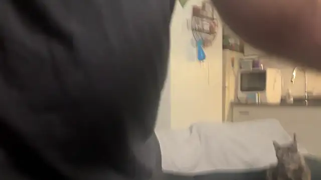 SpunCandy online show from 02-28-26, 09:25