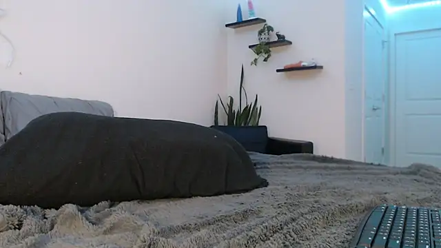 Snapshot of fallongrayxo chatting on 03-08-25, 11:28 fallongrayxo online show from 03-08-25, 11:28